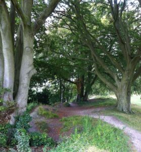 Old Sarum